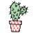 majianyu.pages.dev favicon
